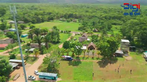 bbn belize boledo|Live Boledo Show .